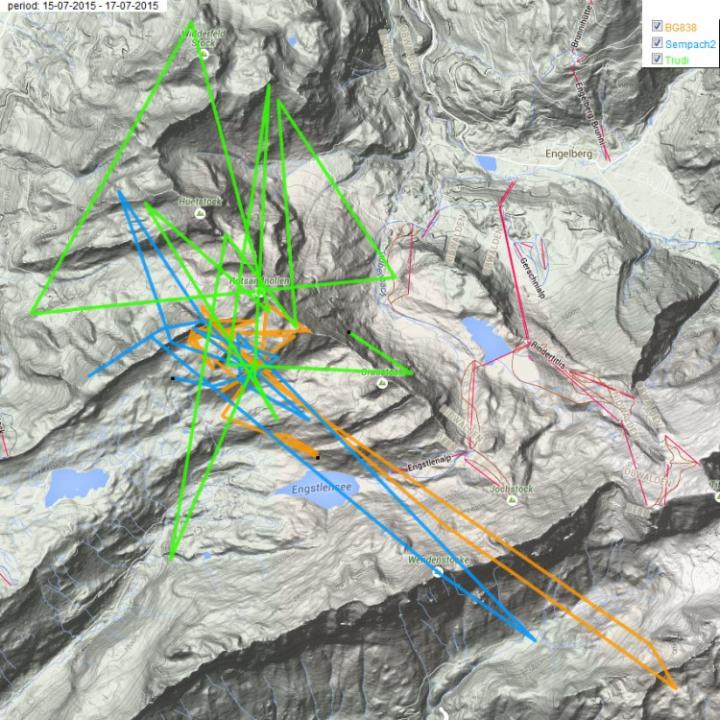 Flugrouten von BG 838, Sempach II und Trudi der letzten beide Tage