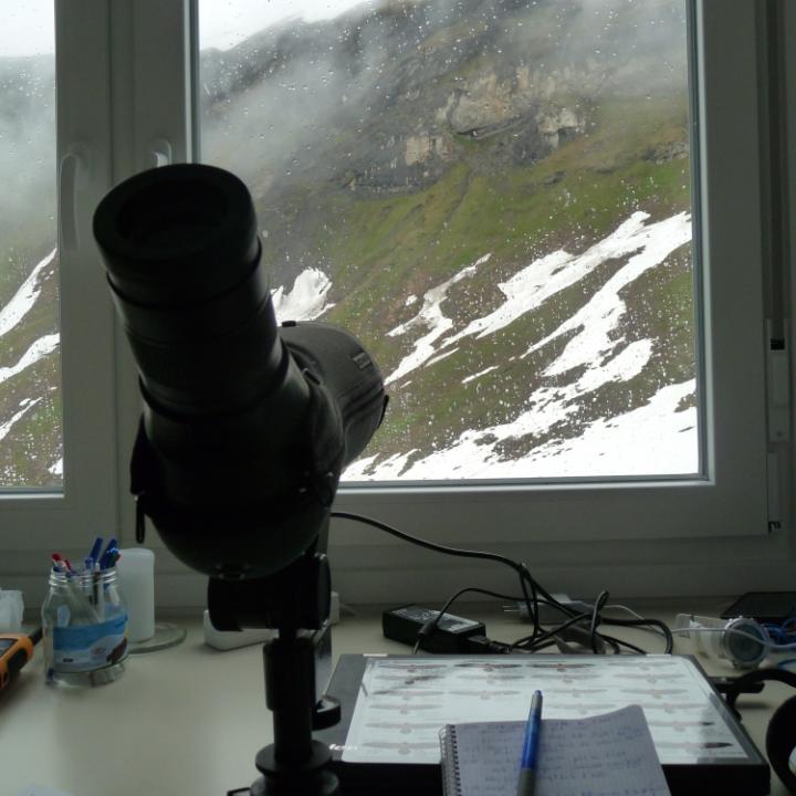 Blick aus dem Überwachungs-Container zur Bartgeier Nische