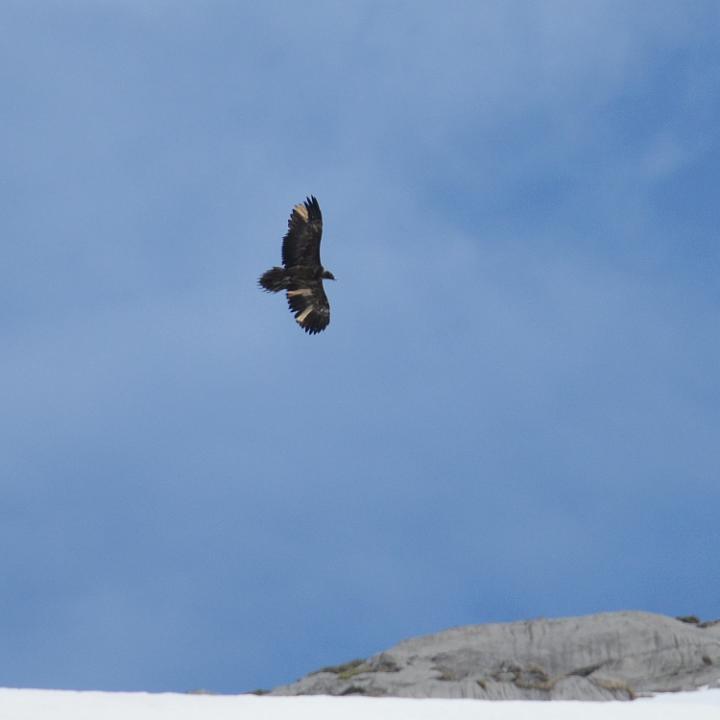 Alois bei seinem zweiten Flug