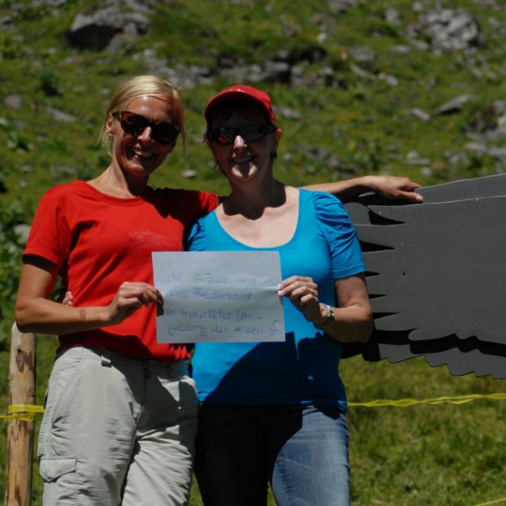 Die Grösse und das Federkleid in malerischer Umgebung der Alpen