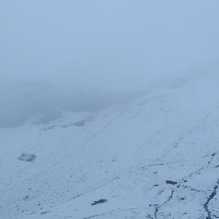 Verschneiter Blick zur Auswilderungs-Nische