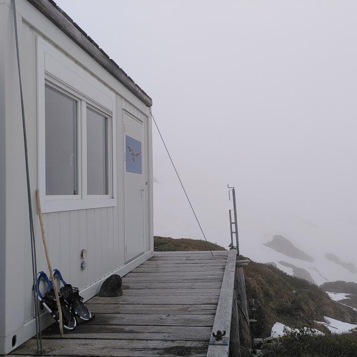 Die Überwachungsstation im Nebel