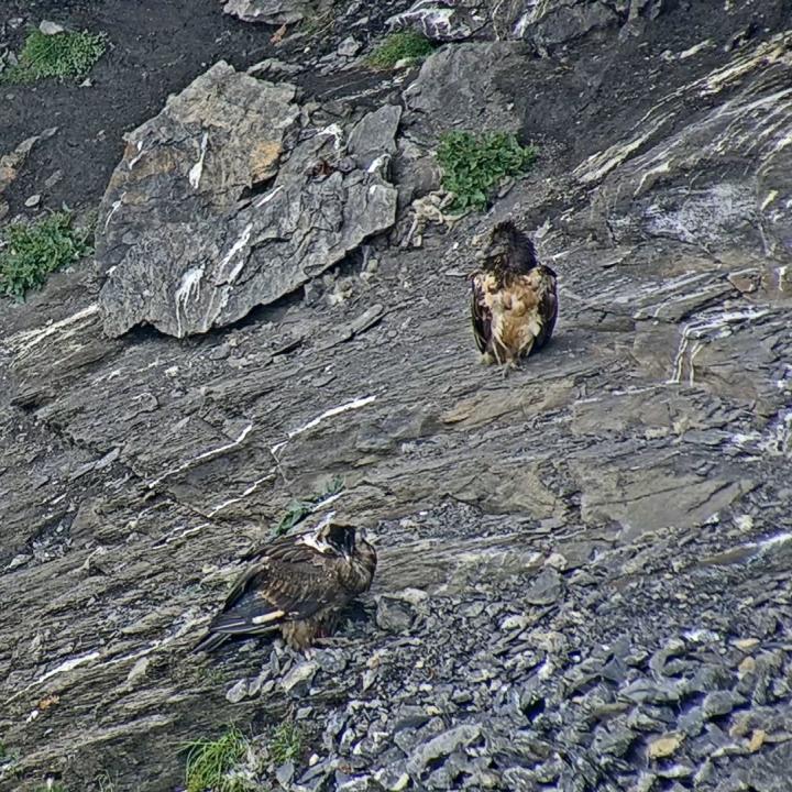 Paradiso und Dromie sitzen in der Nische beim Futter