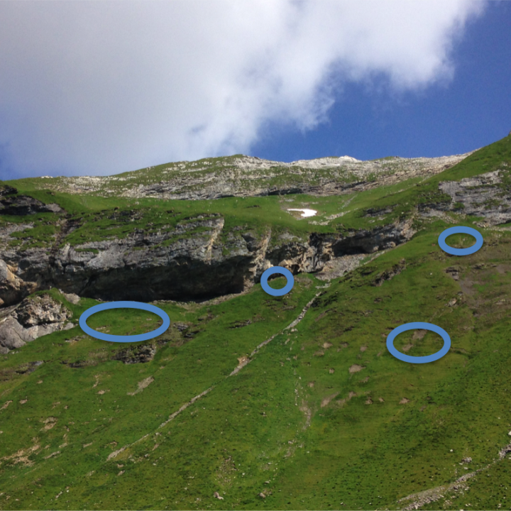 Hang rechts der Auswilderungsnische mit möglichen Futter-Stellen (blaue Kreise)