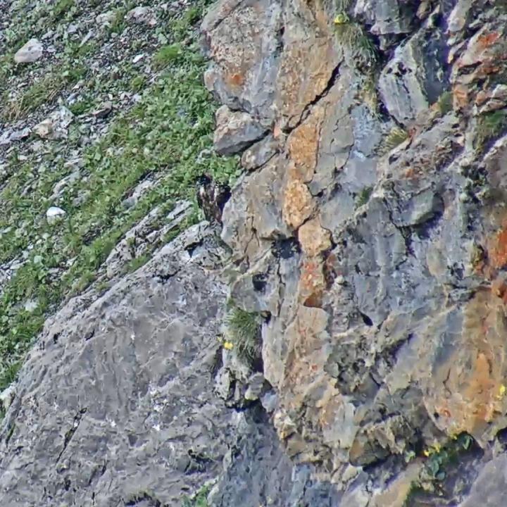 Paradiso findet auch ausserhalb der Nische gute Sitzplätze