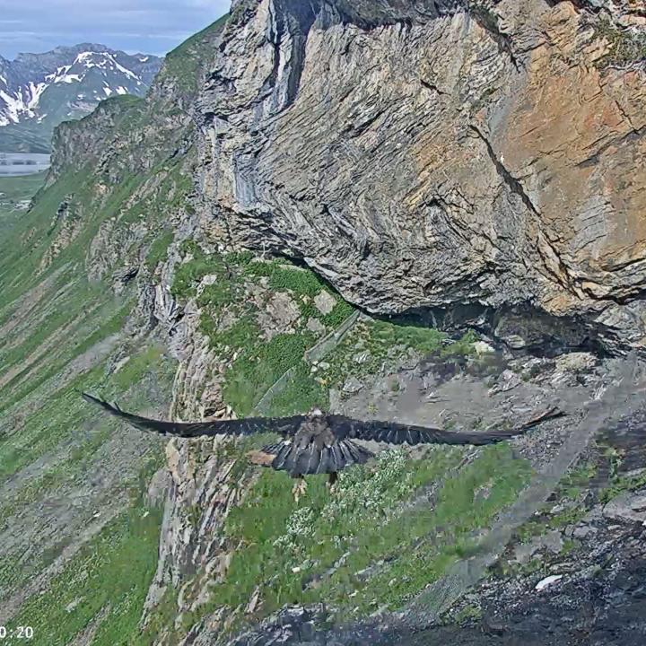 Nach Paradiso und Gaia fliegt nun auch Aurora