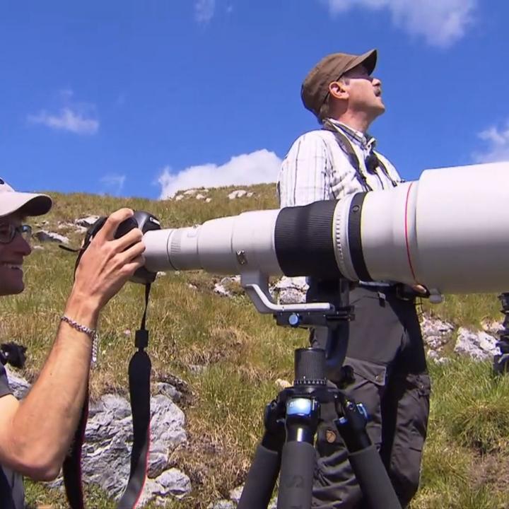 Schweiz aktuell: Auf Besuch beim Brutpaar Ofenpass