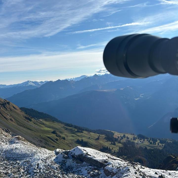 The international bearded vulture counting day was a success