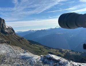 The international bearded vulture counting day was a success